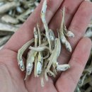 팔도건어물 이미지