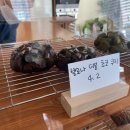 구구과자점 이미지