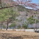 신라파크장 Daum카페