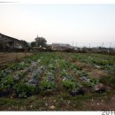 희망농장 이미지