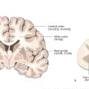 운동케어센터 이미지