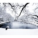 대방굴항 이미지