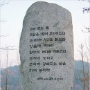 일송농장 티스토리