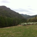 대불리목장 이미지