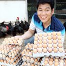 길용농장 이미지