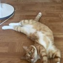 무주 스테이 이미지