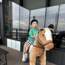 선재유일390 이미지