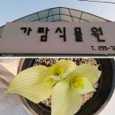 비비추꽃집