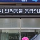 서울동물의료센터 이미지