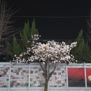 신평수산횟집