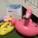 도도펜션 이미지