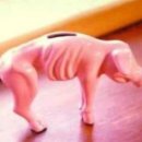 돼지저금통 이미지