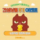 견생냥품 서울 노원역점 이미지
