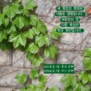 매일 영적루틴 셋트 & 고린도전서 4:9-21 묵상노트 & 일상속 영성스토리