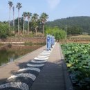 하가리집 이미지