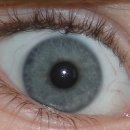 아이캐슬 이미지