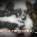 명카센터 이미지