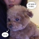 ep.9 | 두 달 전에 저장해 놓은 일기