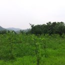 율산농장 이미지