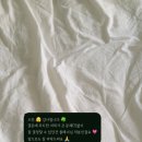 하진 | 부산웨딩플래너 | 온유어스 | 하진플래너 후기