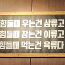 경북도청 고깃집 [우리동네 고깃집] 우동고 삼겹살 맛집