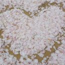 정원민박 이미지