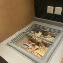 상하이 훠궈 맛집 추천ㅣ좌정우원 신세계 다이마루 백화점 지점 후기