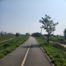 대조1리 이미지