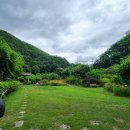 산머루집민박 이미지