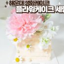 플라워케이크세렝