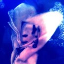 한나라약국 이미지