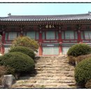 주유천하 Daum카페