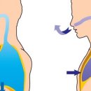 아레아필라테스 소사본점 이미지