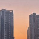 백운탑신경과의원 네이버블로그