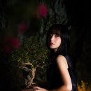 제주의 이유 이미지