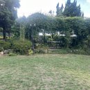 한실농박 이미지