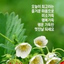 아름하루