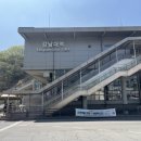 구갈레스피아 | 용인 벚꽃명소 강남대역 구갈레스피아 방문기! 봄나들이, 피크닉 장소로 딱이에요