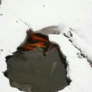 한누리농장 이미지