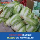 현대공판장 이미지