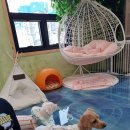 이츠펫(청당점) 이미지