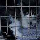 서부초교 이미지