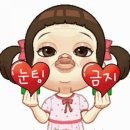 한들로 Daum카페