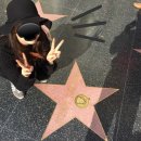 유니언버드 이미지