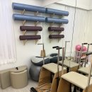 필라하는날서울대