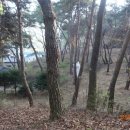 여주-0705 Daum카페