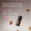 동탄대로10가길 이미지