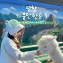 기풍3길 | 평창 마추픽추 알카파 카페 및 메밀 맛집 가볼만한곳 3