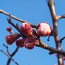 동해곤충농장 이미지