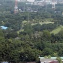 강서중앙데이케어센터 이미지